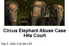 Circus Elephant Abuse Case Hits Court