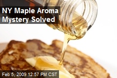 NY Maple Aroma Mystery Solved