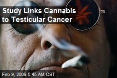 Study Links Cannabis to Testicular Cancer
