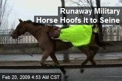 Runaway Military Horse Hoofs It to Seine