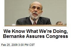We Know What We're Doing, Bernanke Assures Congress