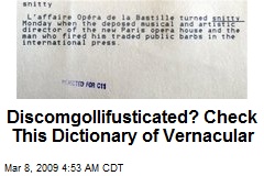 Discomgollifusticated? Check This Dictionary of Vernacular
