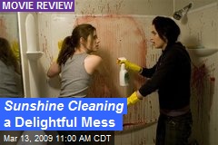 Sunshine Cleaning a Delightful Mess
