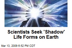 Scientists Seek 'Shadow' Life Forms on Earth