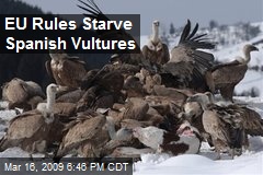 EU Rules Starve Spanish Vultures