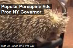 Popular Porcupine Ads Prod NY Governor