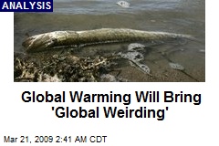 Global Warming Will Bring 'Global Weirding'