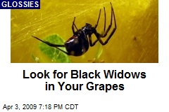 Look for Black Widows in Your Grapes