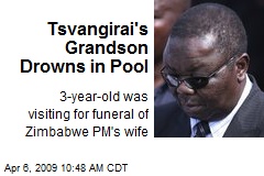 Tsvangirai's Grandson Drowns in Pool