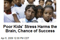 Poor Kids' Stress Harms the Brain, Chance of Success