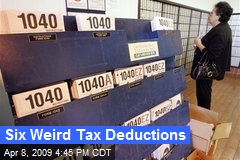 Six Weird Tax Deductions