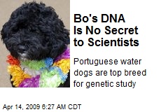 Bo's DNA Is No Secret to Scientists