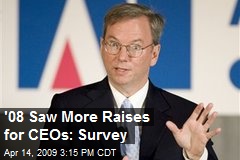 '08 Saw More Raises for CEOs: Survey
