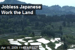Jobless Japanese Work the Land