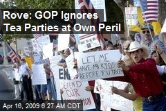 Rove: GOP Ignores Tea Parties at Own Peril