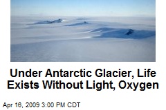 Under Antarctic Glacier, Life Exists Without Light, Oxygen