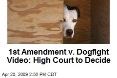 1st Amendment v. Dogfight Video: High Court to Decide