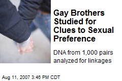 Gay Brothers Studied for Clues to Sexual Preference