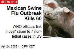 Mexican Swine Flu Outbreak Kills 60