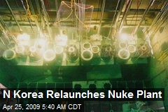 N Korea Relaunches Nuke Plant