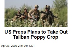 US Preps Plans to Take Out Taliban Poppy Crop