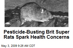 Pesticide-Busting Brit Super Rats Spark Health Concerns