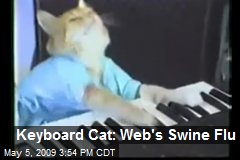 Keyboard Cat: Web's Swine Flu