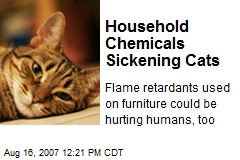 Household Chemicals Sickening Cats