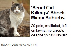 'Serial Cat Killings' Shock Miami Suburbs