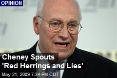 Cheney Spouts 'Red Herrings and Lies'