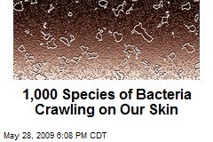 1,000 Species of Bacteria Crawling on Our Skin