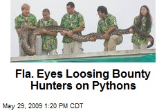 Fla. Eyes Loosing Bounty Hunters on Pythons