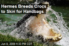 Hermes Breeds Crocs to Skin for Handbags