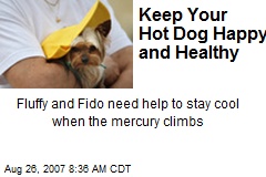 Keep Your Hot Dog Happy and Healthy
