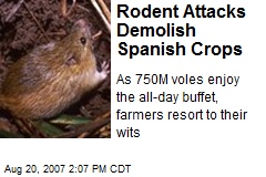 Rodent Attacks Demolish Spanish Crops