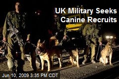 UK Military Seeks Canine Recruits