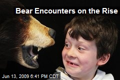 Bear Encounters on the Rise