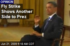 Fly Strike Shows Another Side to Prez