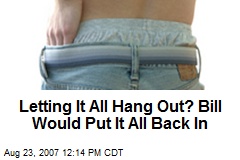 Letting It All Hang Out? Bill Would Put It All Back In