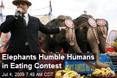 Elephants Humble Humans in Eating Contest