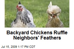 Backyard Chickens Ruffle Neighbors' Feathers