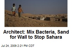 Architect: Mix Bacteria, Sand for Wall to Stop Sahara