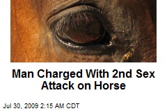 Man Charged With 2nd Sex Attack on Horse