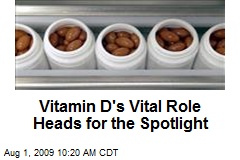 Vitamin D's Vital Role Heads for the Spotlight