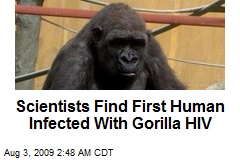 Scientists Find First Human Infected With Gorilla HIV
