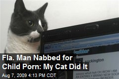 Fla. Man Nabbed for Child Porn: My Cat Did It