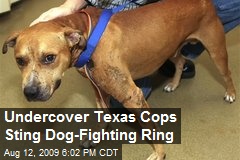 Undercover Texas Cops Sting Dog-Fighting Ring