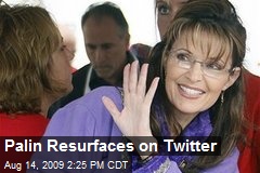 Palin Resurfaces on Twitter