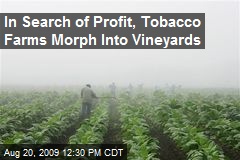 In Search of Profit, Tobacco Farms Morph Into Vineyards