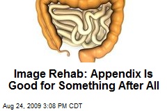 Image Rehab: Appendix Is Good for Something After All